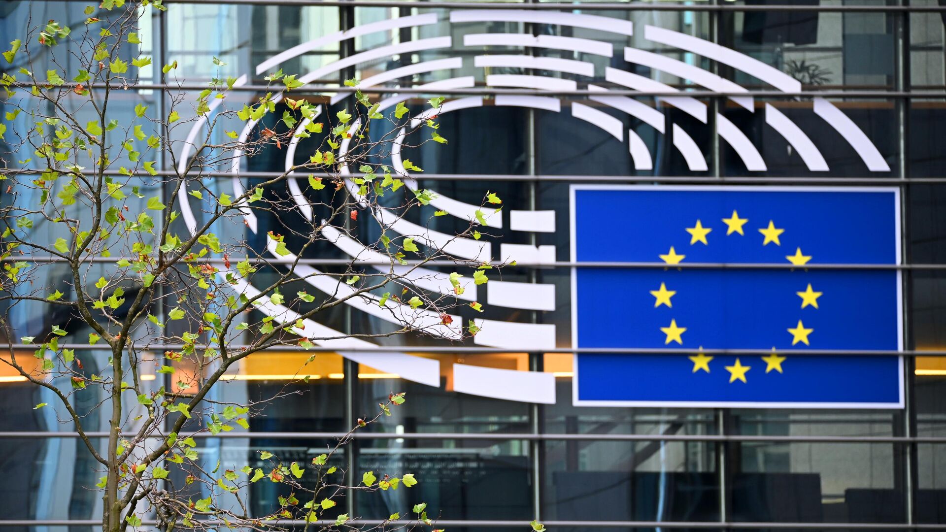 Суд ЕС зарегистрировал иск Банка России против Европарламента по вопросу поддержки Украины