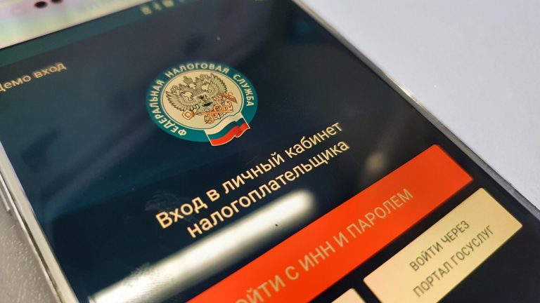 Каверина рассказала о риск-ориентированном подходе при проверках самозанятых