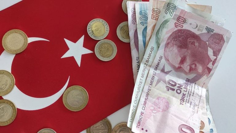 Ekonomım: покупательная способность купюры в 200 лир в Турции с 2009 года упала в 26 раз