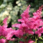 images (16)